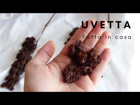 Analogico vitaprost Fort candele Eiaculazione prostata massaggio