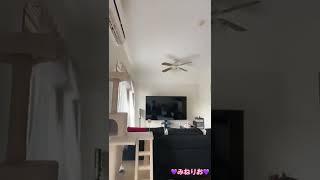 バズらせJAPAN！参戦中???