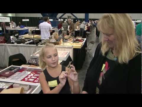 Beginner's Look at Coin Collecting