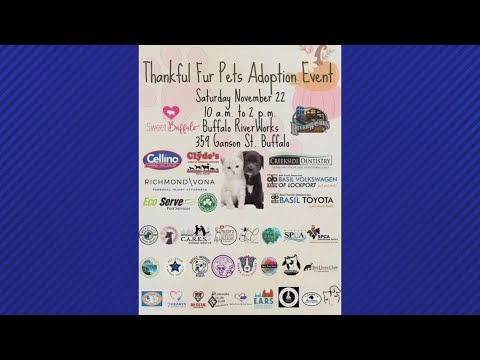 Thankful Fur Pets adoption event this Saturday November 22nd - YouTube