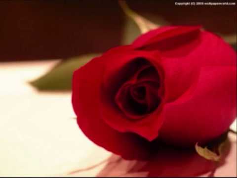 Türkbey - Ben Geldim Sonkez - Dj.Efsane.wmv