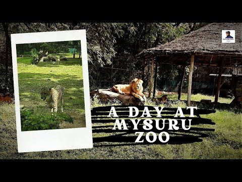 A Day At Mysuru Zoo | Karanji Lake | Zoo Animal Video | Mysore Zoo History | 4K Video