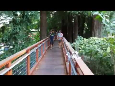 Unity Festival 2014 - A' La Lune - Irie Mentality