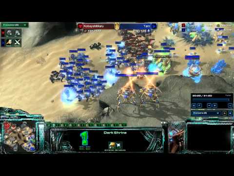 HotS TvP Coaching by Tarn, a Top 10 Masters Protoss