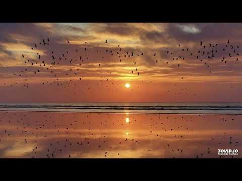 448B  God Is Only In the Still Small Voice,  1962 Hawaii Student Group