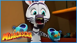 The Case of The Stolen Slippers 😲 | DreamWorks Madagascar