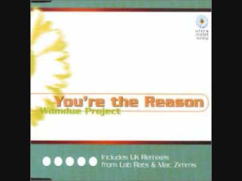 Wamdue Project - You´re The Reason (Lab Rats Main Experiment Rmx)