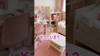 どこ行っちゃったの…😭❓#shorts
