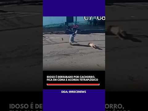 Idoso é derrubado por cachorro, fica em coma e acorda tetraplégico em SP #noticias #news