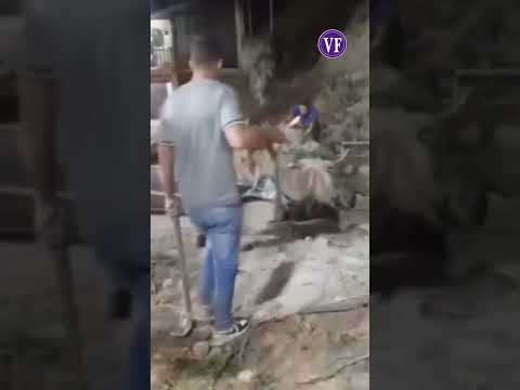 DESLIZAMIENTO DE TIERRA EN LA COLONIA TOVAR DEJA TRES VEHÍCULOS TAPIADOS