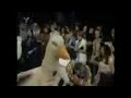 Rick Dees And His Cast Of Idiots Disco Duck