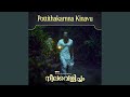 Pottithakarnna Kinavu From Neelavelicham