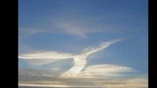 La Colombe  "Michel Sardou"