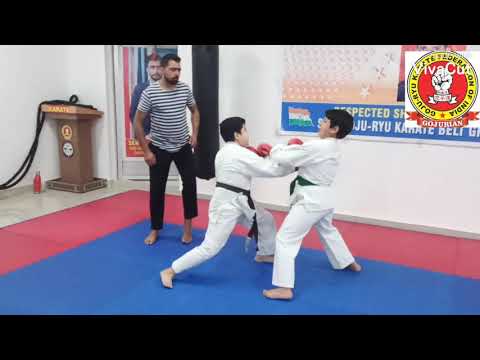 Karate Kihon & Fight Workout