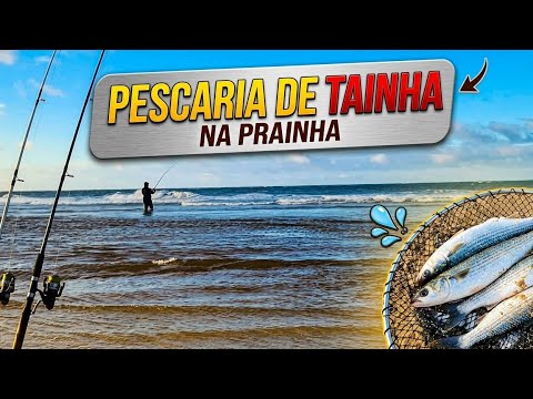 mostrando um pouco da pescaria de tainha na prainha aquiraz Ceará 