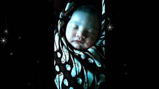 Download lagu Ku timang timang anak ku sayang mp3 Download lagu Ku timang timang anak ku sayang mp3