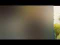 ফাইনাল ভরসা নাটক পর্ব শুরু থেকেই শেষ Fin