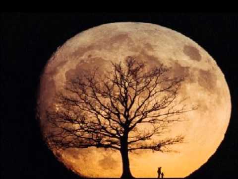 Solange Borges - Lua sem Nome