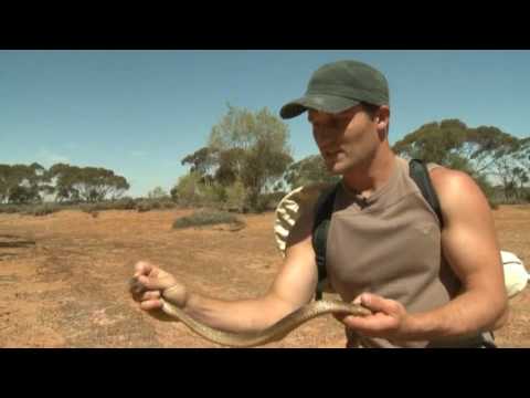 Rob Bredl & Tim Bredl - Catch of the Day