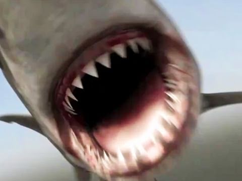 Trailer de Mega Shark vs. Crocosaurus