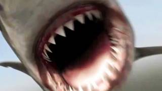 Mega Shark vs. Crocosaurus (2010) Video