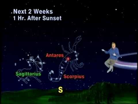 jack horkheimer: star gazer