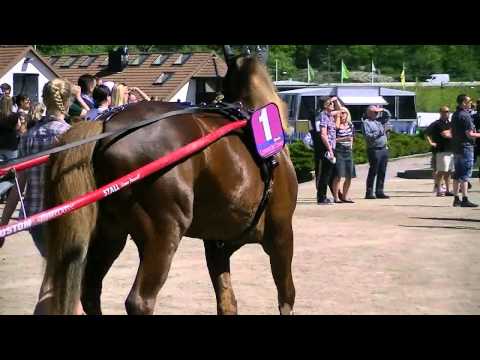 Elitloppet Journaal Zondag deel 2
