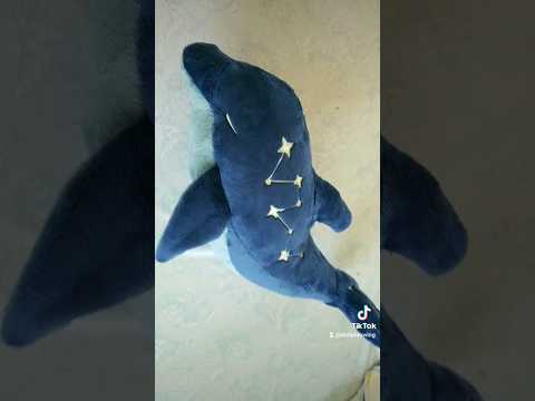 Dolphin Stuffed Animals