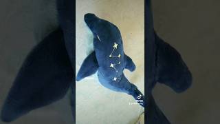 Dolphin Plush DIY