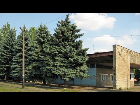 Поселок парасковеевка донецкая область. Часов яр школа 17. Часов яр. Часов яр в окружении. Часов ярский огнеупорный комбинат.