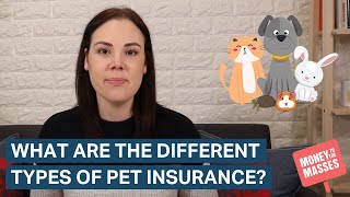 What are the different types of pet insurance?