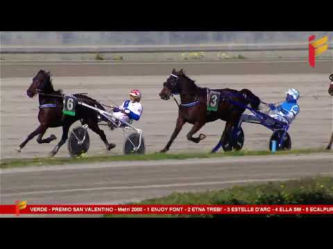 I corsa del 15 febbraio 2023 - 3 Anni - Metri 2000 - Gara centrale