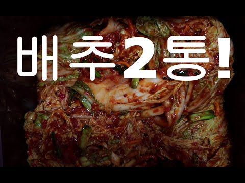 Kimchi 배추2통 담기 (양념 황금레시피)