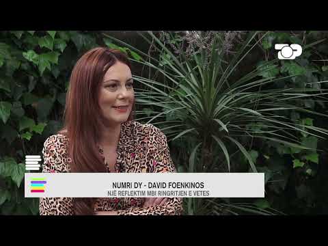 Vitrina e librit/ Numri dy - David Foenkinos; Më 1999