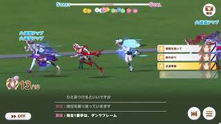 第八十九回デイリー凱旋門賞　2025/10/29 曇 稍重バ場