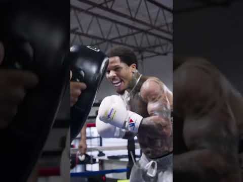 THE BEST BOXING GLOVES 2023