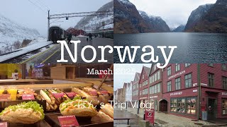 Vlog.46|ノルウェー冬旅🇳🇴Part.2|ベルゲン鉄道と世界一美しい鉄道の旅🚃|フロム鉄道で行くフィヨルド⛴️|アナ雪の街ベルゲン❄️