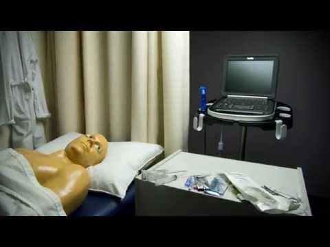 AxoTrack Ultrasound Needle Guidance Technology: "Point-and-Shoot" Access