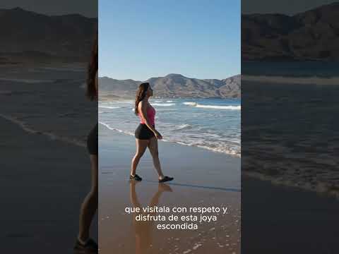 🌊 ¡El SECRETO de CASMA que no conocías! Playa Las Salinas y sus Humedales 🧂🇵🇪