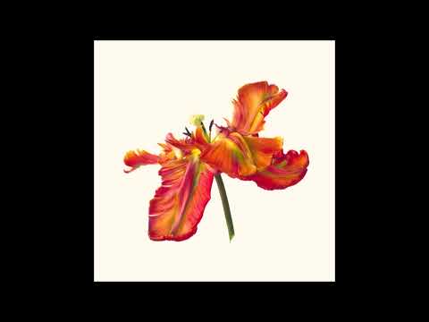 Octo Åeterna - Ma'am [ORGANICA002]