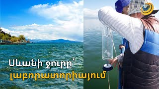Փորձանմուշ՝ Սևանից Երևան. ի՞նչ է հայտնաբերել լաբորատոր հետազոտությունը