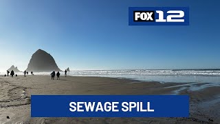 Health officials warn of fecal bacteria exposure from sewage spill in Cannon Beach