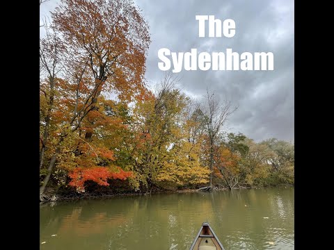 The Most Diverse river in Canada - The Sydenham