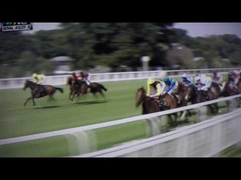 DUKE OF CAMBRIDGE STAKES (G2) 2017 - QEMAH !!!