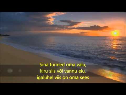 Joel Steinfeld - Kaks südant