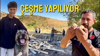 ÇEŞME YAPILIYOR !!! DAĞDA SU HAYATTIR 💧 KÖPEĞi KEÇİLERE ALIŞTIRIYORUZ 