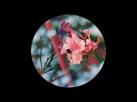 Soledrifter feat. Tommie Cotton - Doing To Me