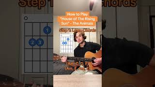 How to Play “House of the Rising Sun” - The Animals 🎸 #guitartok #beginnerguitar #acousticcover