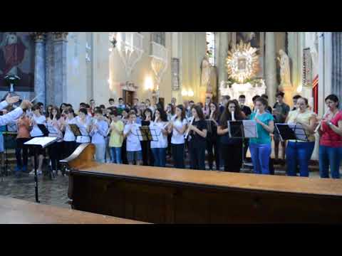 Orchestra Nationala Adventista de Blockflote - fagaduinta