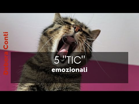 5 tic emozionali, cioè 5 bias da conoscere